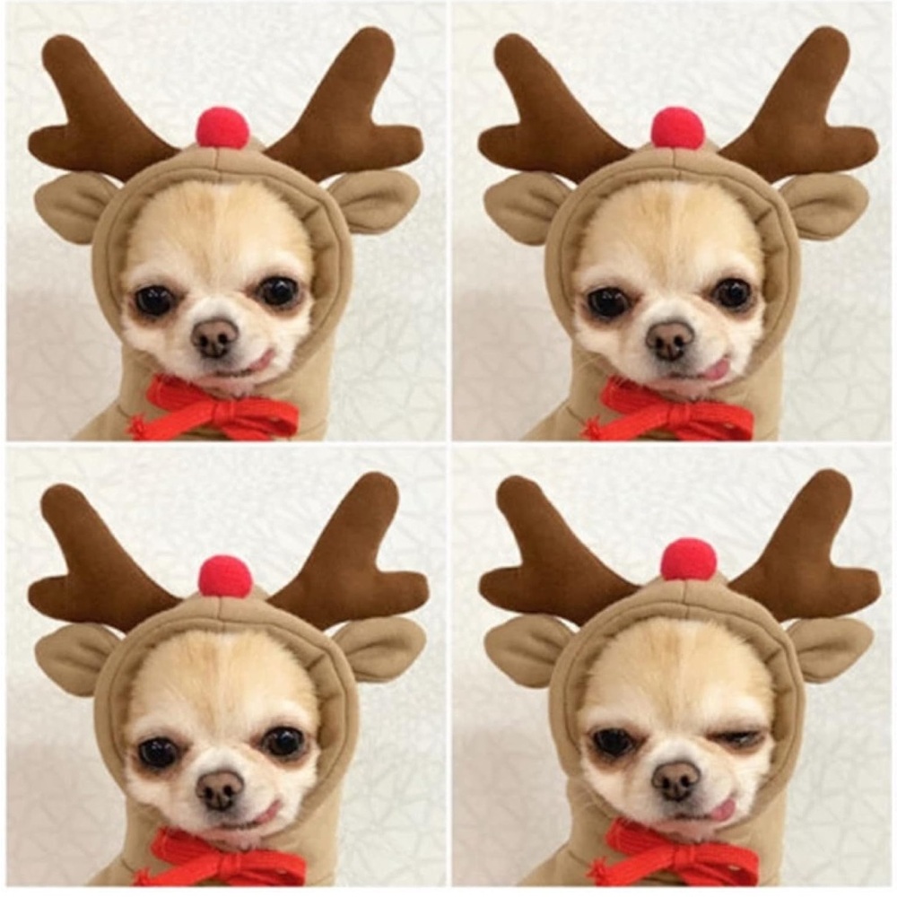 Dog hoodie sweatshirt with reindeer antlers - Picture 2 of 11